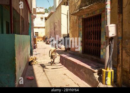 Un enfant traverse une voie alors qu'un chien et une vache regardent dans les ruelles étroites de Kashi, ou Benaras Banque D'Images