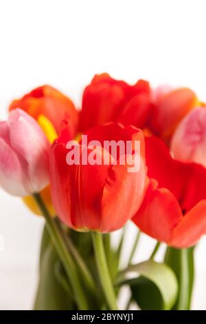 Bouquet de tulipes Banque D'Images