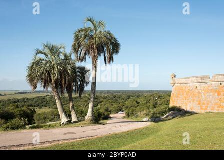 Forteresse historique de Santa Teresa et de butia palmiers, à Rocha, Uruguay, une journée ensoleillée d'été Banque D'Images