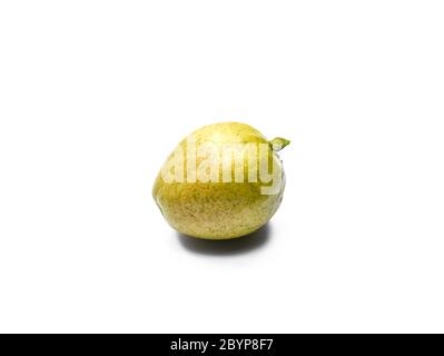 Guava fraîche (fruits tropicaux) sur fond blanc Banque D'Images