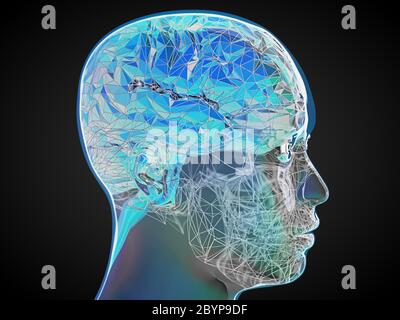 3d illustration d'un crâne humain transparent coloré de style polygone avec brain3d illustration d'un crâne avec réfraction humaine transparente p colorés Banque D'Images