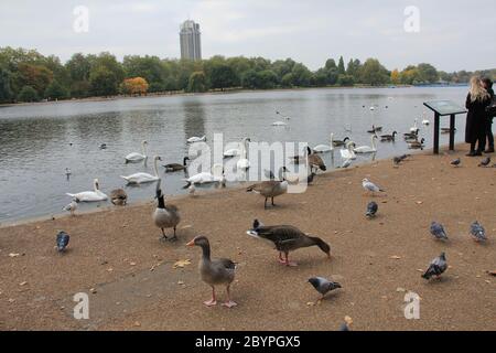 Hyde Park à Londres, Angleterre Banque D'Images