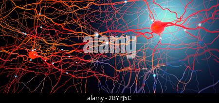 Neurones ou cellules nerveuses transmettant le signal - illustration 3d Banque D'Images