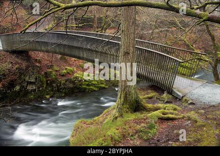 Le pont métallique au-dessus de la rivière Brathay en automne, Cumbria, Royaume-Uni Banque D'Images