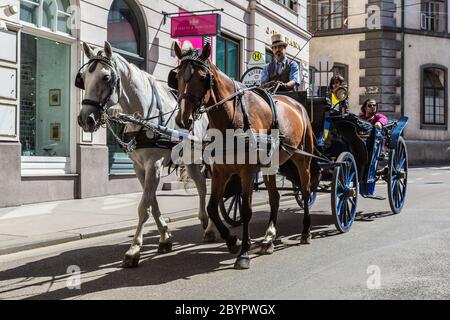 Chariot tiré par des chevaux à Vienne, dans la célèbre cathédrale Stephansdom Banque D'Images