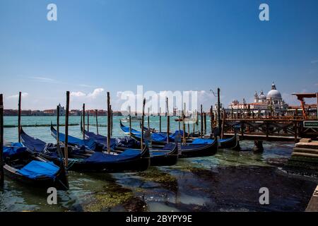Gondoles traditionnelles du Grand Canal amarrées à la jetée, l'île de Giudecca et la Chiesa del Santissimo Redentore en arrière-plan, lagune vénitienne, Ve Banque D'Images