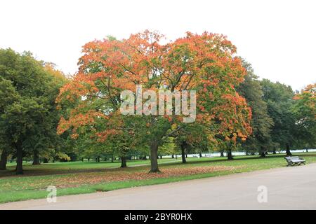 Les Jardins de Kensington à Londres, Angleterre Banque D'Images