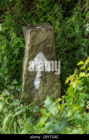 Une flèche blanche sur la pierre marquant le chemin d'un sentier. Banque D'Images