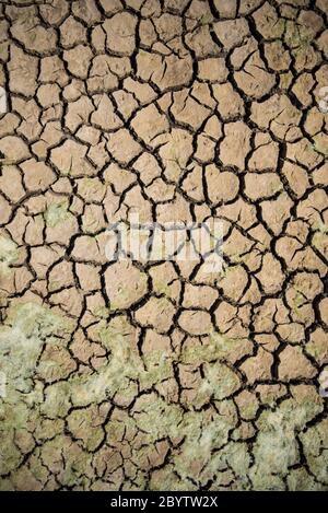 aménagement naturel concept dramatique terre craquée dans la sécheresse afrique famine réchauffement climatique changement climatique Banque D'Images