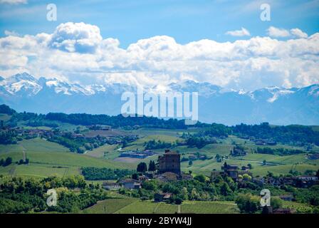 Vue sur collines des Langhe avec vignes et montagnes des Alpes en arrière-plan, le Piémont - Italie Banque D'Images