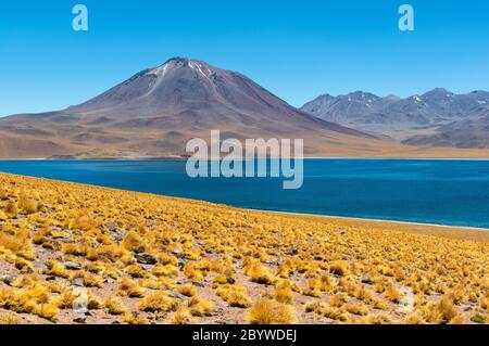 Le lagon Miscanti dans les Andes, désert d'Atacama, Chili. Banque D'Images