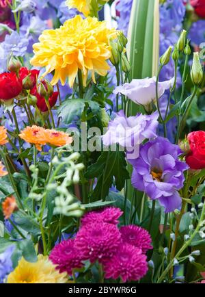 Bouquet lumineux multicolore de fleurs faites de différents Banque D'Images