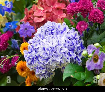 Bouquet lumineux multicolore de fleurs faites de différents Banque D'Images