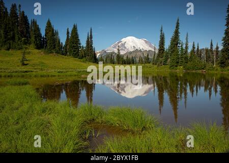 WA16647-00...WASHINGTON - le Mont Rainier se reflète dans le lac Tipsoo, dans le parc national du Mont Rainier. Banque D'Images