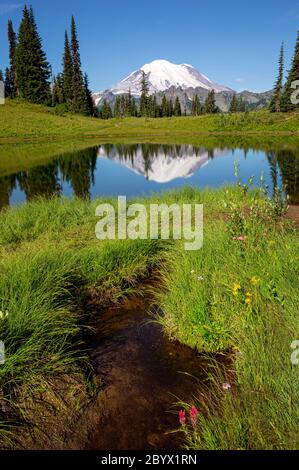 WA16649-00...WASHINGTON - le Mont Rainier se reflète dans le lac Tipsoo, dans le parc national du Mont Rainier. Banque D'Images