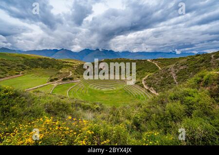 Terrasses circulaires Inca de Moray, site archéologique de la Vallée Sacrée des Incas, région de Cusco, Pérou, Amérique du Sud. Banque D'Images