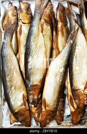 poisson fumé au hareng Banque D'Images