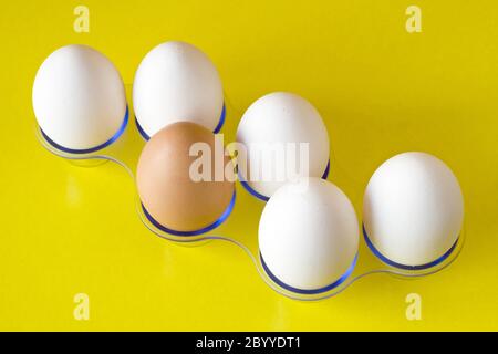 six œufs sur fond jaune Banque D'Images