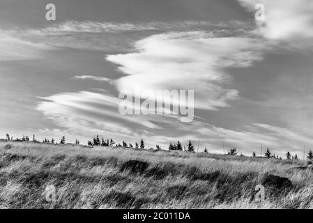 Paysage automnal de Krkonose avec herbe jaune et paysage unique, montagnes Giant, République tchèque. Image en noir et blanc. Banque D'Images