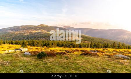 Paysage forestier vert avec montagnes et huttes de montagne Maly Sisak, montagnes Giant, Krkonose, République tchèque. Banque D'Images