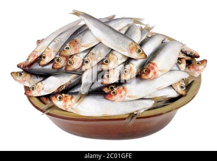 Plat rustique rempli de poissons frais crus, isolés sur fond blanc