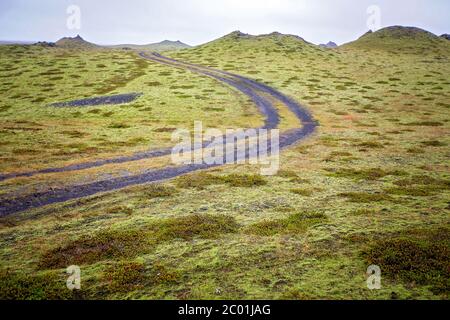 Beau paysage avec mousse de laine lors d'un jour de pluie en Islande, l'heure de l'automne Banque D'Images