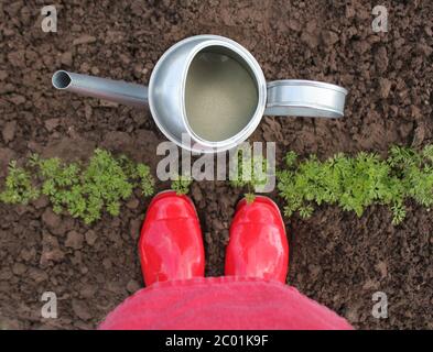 Bottes en caoutchouc avec arrosoir sur l'herbe, concept de jardinage Banque D'Images