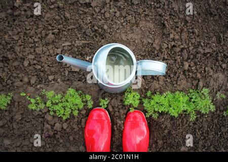 Bottes en caoutchouc avec arrosoir sur l'herbe, concept de jardinage Banque D'Images