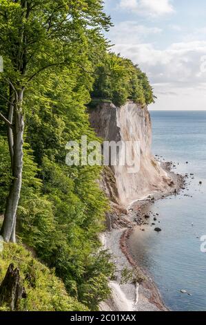 Vue sur la côte escarpée du parc national de Jasmund sur Rügen, Allemagne. Ausblick auf die Steilküste des Nationalparks Jasmund auf Rügen, Allemagne. Banque D'Images