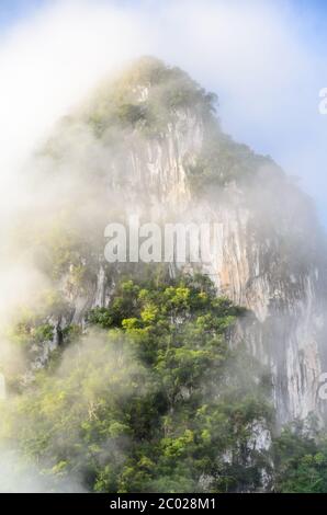 Montagnes luxuriantes couvertes de brume Banque D'Images