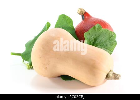 Courge butternut et courge Hokkaido Banque D'Images