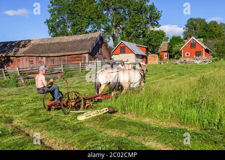 La fabrication de chevaux de trait dans une ferme rurale à l'époque Banque D'Images