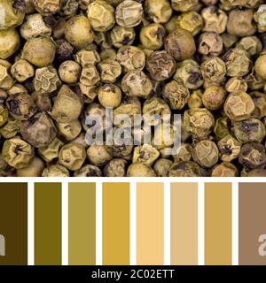 Arrière-plan de grains de poivre vert dans une palette de couleurs, avec des nuances de couleurs gratuites Banque D'Images