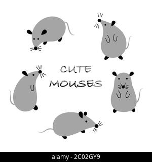 Rats de dessins animés. Ensemble de 5 mignons souris grises en différentes poses sur fond blanc. Illustration vectorielle plate. Illustration de Vecteur