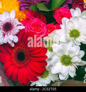 Un beau bouquet de gerberas rouges, de chrysanthèmes blancs et de roses rouges. Arrière-plan de la fleur Banque D'Images