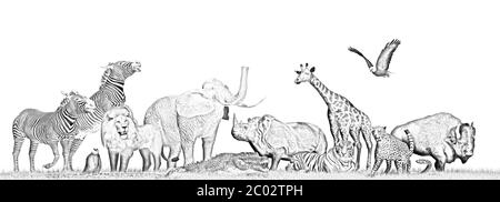 Animaux de Wildernis dans l'herbe - dessin au crayon - isolé sur fond blanc - illustration 3D Banque D'Images