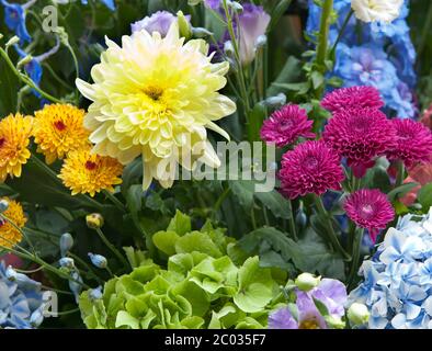 Bouquet lumineux multicolore de fleurs faites de différents Banque D'Images