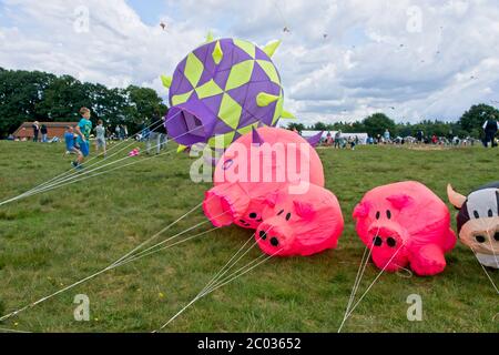 EDE pays-Bas - 20 août 2017 - Festival Kite sur Ede Heath Banque D'Images