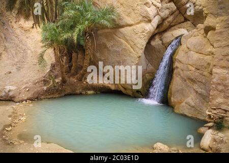 Cascade dans oasis de montagne Chebika, Tunisie, Afrique Banque D'Images