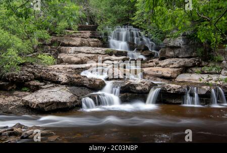 East Gill Falls à la rencontre de la rivière Swale, près de Keld dans le parc national de Yorkshire Dales, Royaume-Uni. Banque D'Images