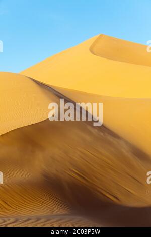 Un vent fort soulève le sable sur le bord d'une grande dune. Dunes de sable dans le désert du Sahara, Afrique du Nord. Banque D'Images