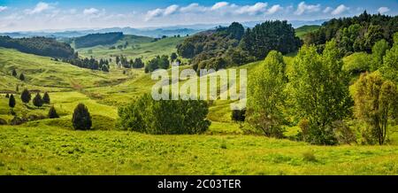 Totoroa gorge, Totoro Road à distance, vue de l'autoroute SH3, à l'ouest de la ville de Piopio, région de Waikato, Île du Nord, Nouvelle-Zélande Banque D'Images
