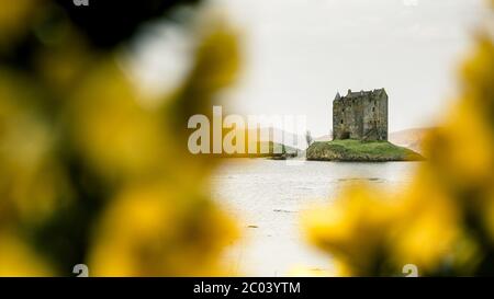 Belle vue sur le château en Écosse pendant une journée nuageux. Prise près du château de Stalker : Loch Laich, dans le Loch Linnhe. Banque D'Images