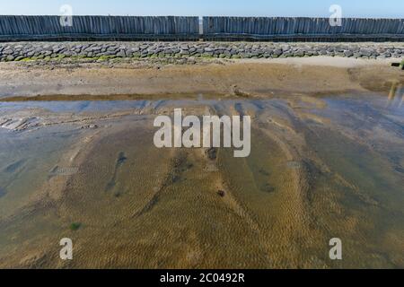 Île de Neuwerk, en mer du Nord, à 8 km du continent près de Cuxhaven, , Etat fédéral de Hambourg, Allemagne du Nord, Europe centrale, patrimoine mondial de l'UNESCO Banque D'Images