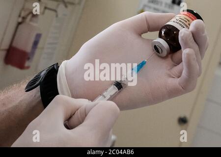 Ramat Gan, Israël. 11 juin 2020. Un vétérinaire professionnel prélève des médicaments dans une seringue dans la clinique de triage de l'hôpital Israel Wildlife. Situé dans le Safari Zoological Center de Ramat Gan, le personnel de l'hôpital et les bénévoles constatent une poussée d'animaux sauvages tandis que les Israéliens libérés de COVID-19 se précipitent dans la nature, causant peut-être des dommages mais sauvant également des centaines d'animaux blessés. Crédit : NIR Amon/Alamy Live News Banque D'Images