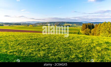 Paysage vallonné et verdoyant avec montagnes géantes, tchèque : Krkonose, sur la ligne d'horizon, République tchèque Banque D'Images