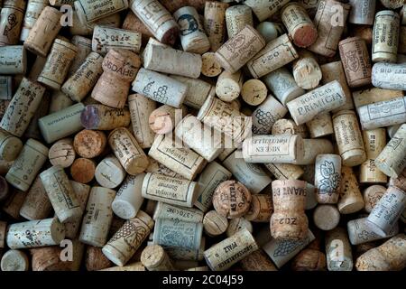 Photographie : CONCEPT In Vino Veritas Banque D'Images