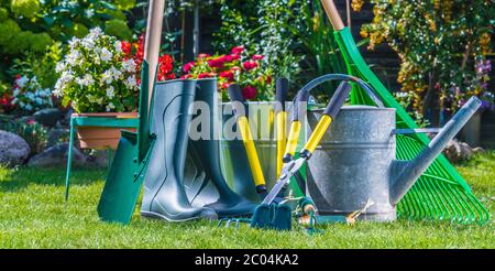Outils de jardinage sur l'herbe dans le jardin. Banque D'Images