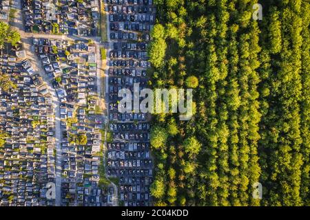 Vue panoramique du cimetière du village de Rogow dans le comté de Brzeziny, Lodzkie Voivodeship dans le centre de la Pologne Banque D'Images