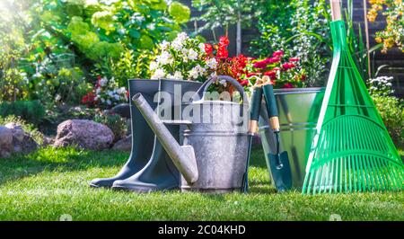 Outils de jardinage sur l'herbe dans le jardin. Banque D'Images